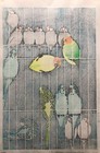 Shinsaku Japanese Woodblock Print Kasamatsu Shiro Birdcage Woodblock Print