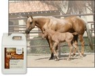 Ultracruz Flax Oil Blend Supplement For Horses And Livestock  4 X 1 Gallon