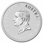 2025 Australia Emu 1oz 9999 Silver Colorized Proof Coin Mintage 2500