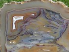 Tcr Brazilian Agate jasper lapidary Polished  both Sides  Slab 984 Grams