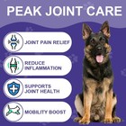 Glucosamine For Dogs 2 Pack Hip And Joint Supplement With Chondroitin 300 Chews