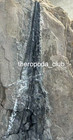 Ichthyosaur Skull Fossil     Marine Reptile Head     Natural Matrix     Raw Collector