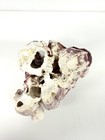 Vintage Purple Barnacle Shell Cluster 6  X 5  X 4 