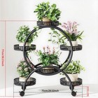 6 Tier Metal Plant Stand With Grow Lights Indoor Planter Stand  Display Shelf Us