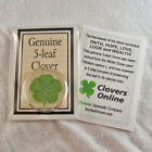 Genuine Rare 5 Leaf Clover Good Luck Charm Floating In A Pocket Token Ch-5l