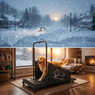 Dog Pacer Treadmill Electric Remote Control Healthy Fitness Run Walk Medium Dogs