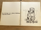 Rare Newfoundland Irish Setter Dog Story Book  1st 1975  oscar A Dog Tale 