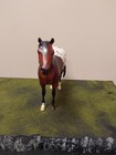 Breyer Traditional  701730 Sonsela Web Special 2016 Sr Lady Phase Mold Euc