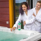 Spa Scale Defender - Hot Tub Calcium Buildup Preventer Concentrate - 2 Pack