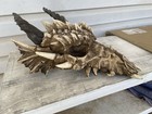 Extra Large Dragon Skull For Wall