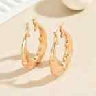 Retro Dolphins Golden Hoop Earrings 18k Gold Plated Double Dolphin Ocean Fashion
