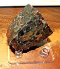 158 Gm Sericho Pallasite Meteorite Slice From Kenya Std Olivine  35  Quad Cut