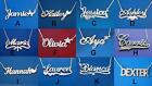 Personalized Single Sterling Silver Any Name Any Style Plate Necklace Free Chain