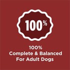 2 Pack  Purina Dog Chow Complete Adult Dry Dog Food For Adult Dogs  Kibble  Beef
