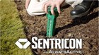 Subterranean In Ground Stations Subterraneantermite With Bait  sealed Box Of 10 