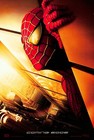 2002 Spiderman Movie Poster 11x17 Peter Parker Tobey Mcguire Goblin Marvel         