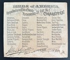 1890 N37 Allen   Ginter Cigarettes Tobacco Card Birds Of America Red Bird