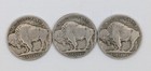 1929 Pds Buffalo Nickel Set   3 Coins   Full Dates  Mint Marks And In Nice Shape
