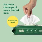 Earth Rated Pet Grooming Wipes For Dogs And Cats Hypoallergenic Cleaning And    
