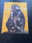 How To Draw Animals By Walter T Foster No 12 Vintage Art Instruction Book