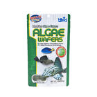 6pack Fish Food Hikari Algae Wafers Tropical Catfish   Plecos Sinking Wafer Disc