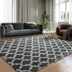 Plush Area Rug 4x6 Feet High Pile Rugs For Living Room  Ultra Soft Indoor 