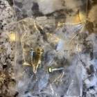 Lochinvar   A o  Smith 100094001 - Nat Final Burner Assy