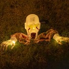 Halloween Zombie Groundbreaker Outdoor Decoration Light-up Face Arms Lawn Stakes
