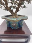 Chinese Antique Jingtailan Cloisonn   Flower Pot