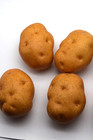 Artificial Fake Food Vegetable Produce Filler Potato Display Props Lot Of 9
