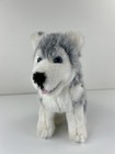 Melissa   Doug Siberian Husky Dog Puppy Realistic Lifelike Stuffed Animal Plush