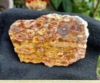 Birdseye Ryolite  Slab