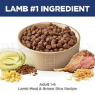Hill s Science Diet Adult 1-6 Dry Dog Food Lamb Meal   Brown Rice 33lb