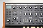 Moog Sub 37 Tribute Paraphonic Analog Synthesizer - Free Us Shipping