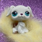 Hasbro Lps Littlest Pet Shop Golden White Retriever Dog No   Htf Euc Puppy Rare
