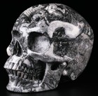 Huge 5 0  Picasso Jasper Carved Skull  Super Realistic  Crystal Healing