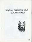 Belgian Shepherd Groenendael 1978 Dog Breed  Sketch Print   Text By M Davidson