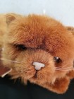 Vintage 1990 Avanti Applause Orange Persian Cat Plush 14 lying Down Nos Rare