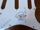 Tommy Chong Signed Autograph Electric Guitar Pick-guard Scratch Plate Jsa Coa