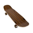 Arbor Longboards Cruiser Complete Solstice Lunar Cucharon 8 75  X 32 375 