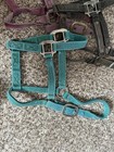 Lot Of 4 Used Nylon Average Medium Horse Halters