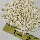 Lot Of 250 Assorted Small Coyote Teeth Real Cleaned Taxidermy Weird Goth  4093