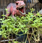Schleich Lot T Rex Dinosaur 73527 Pentaceratops 14531 Mosasaurus 15026 Styracos