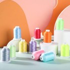 12 Colors Glow In The Dark Embroidery Thread Colorful Luminary Polyester Machine
