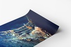 Wreck Of The Rms Titanic Bow Section Water Photo Photograph Art Print