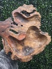 Vntg Rare Tan Bark Oak Burl Wood Hand Carved  Bowl Sculptural Tray  Live Edge