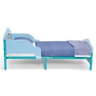 Kids Bluey 3d Toddler Bed Blue Footboard Headboard Rails For Little Girls Boys