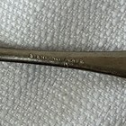 Dogwood Vintage Souvenir Spoon Collectible British Columbia