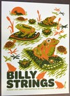 Billy Strings - 2021 - Garfield Park - Indianapolis - John Vogl - A p - Poster