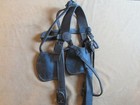 Civil War    Indian Wars Military Mule Wagon Bridle Us Rosettes 1860s 1870s